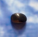Schungit-Trommelstein/Pebble ST14
